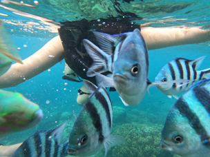 메루사카 풀빌라는 정말 지상낙원이었습니다~